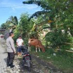 Sosialisasi Pangan Sehat: Bhabinkamtibmas Ajak Warga Tanam Sayur