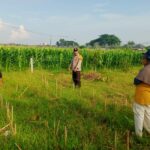 Bhabinkamtibmas Labuapi Aktif Dorong Ketahanan Pangan di Desa Karang Bongkot