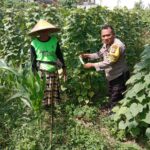 Polsek Labuapi Dukung Ketahanan Pangan, Bhabinkamtibmas Ajak Warga Manfaatkan Lahan Kosong