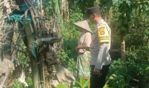 Bhabinkamtibmas Babussalam Gencarkan Ketahanan Pangan di Lombok Barat