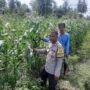 Bhabinkamtibmas Dorong Swasembada Pangan di Desa Montong Are