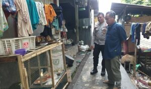 Pekarangan Jadi Lumbung: Inovasi Pangan di Desa Jagaraga