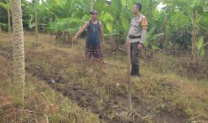 Bhabinkamtibmas Labuapi Gandeng Petani Tingkatkan Ketahanan Pangan dan Jaga Kamtibmas