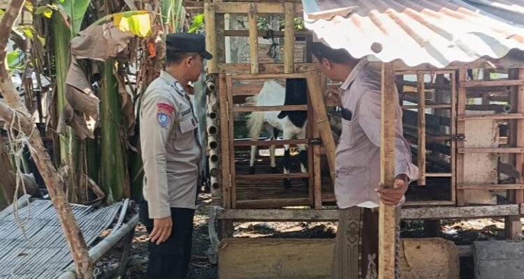 Ketahanan Pangan Desa Babussalam Didukung Aktif Polri