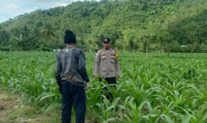Kunjungan DDS: Ketahanan Pangan dan Kamtibmas Jadi Fokus Polisi Sekotong
