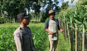 Pekarangan Bergizi, Inisiatif Ketahanan Pangan di Dasan Geres