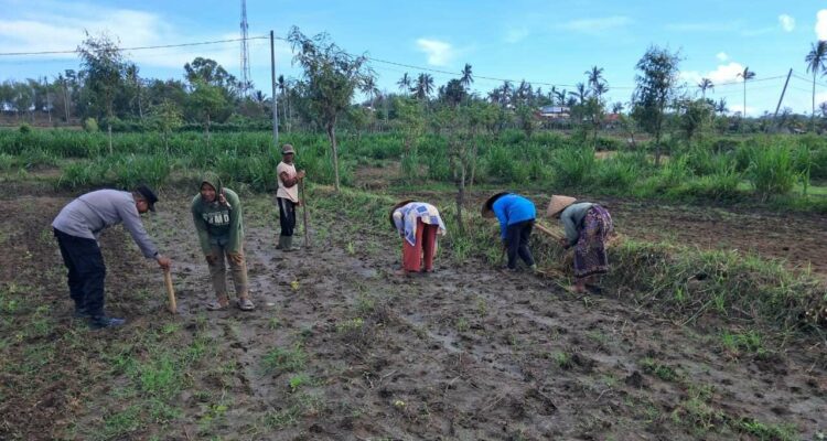 Peran Polri Dalam Swasembada Pangan di Sekotong, NTB