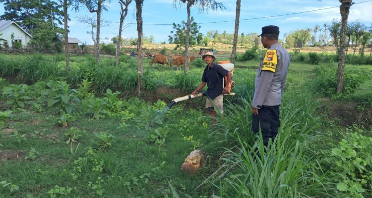Polri Dorong Pertanian Produktif di Desa Pelangan, Sekotong