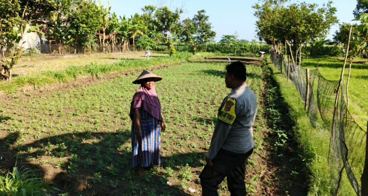 Polri di Lombok Barat Galakkan Ketahanan Pangan Skala Rumah Tangga