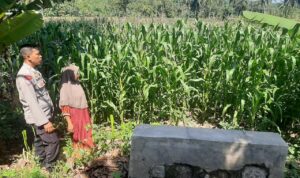 Polsek Lembar Dukung Ketahanan Pangan di Dusun Jelateng