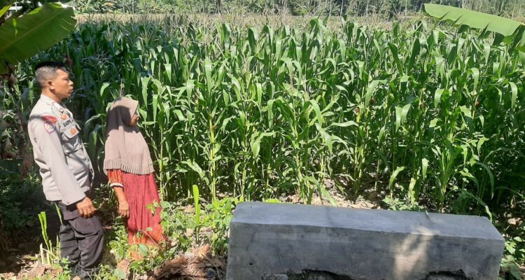 Polsek Lembar Dukung Ketahanan Pangan di Dusun Jelateng