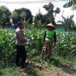 Dukung Ketahanan Pangan, Polisi Ajak Petani Manfaatkan Lahan Kosong