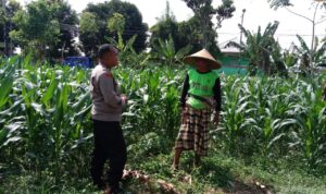 Dukung Ketahanan Pangan, Polisi Ajak Petani Manfaatkan Lahan Kosong