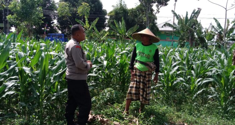 Dukung Ketahanan Pangan, Polisi Ajak Petani Manfaatkan Lahan Kosong
