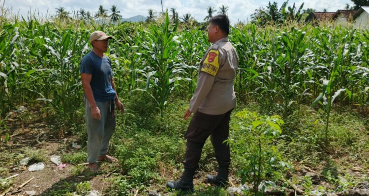 Polres Lombok Barat Dorong Ketahanan Pangan Desa Jembatan Gantung