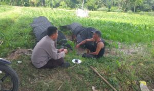 Polres Lombok Barat Dukung Petani Wujudkan Ketahanan Pangan di Lembar