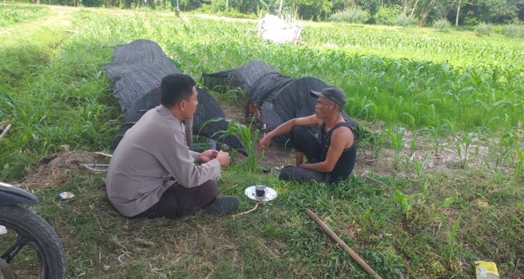 Polres Lombok Barat Dukung Petani Wujudkan Ketahanan Pangan di Lembar
