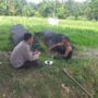 Polres Lombok Barat Dukung Petani Wujudkan Ketahanan Pangan di Lembar