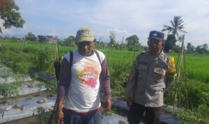 Bhabinkamtibmas Montong Are Dorong Swasembada Pangan di Kediri Lombok Barat
