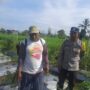 Bhabinkamtibmas Montong Are Dorong Swasembada Pangan di Kediri Lombok Barat