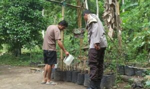 Polsek Batulayar Dorong Kemandirian Pangan Lewat Program Pekarangan di Dusun Orong