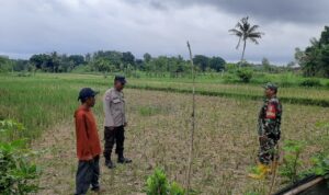 Sinergi Polisi dan Petani di Dusun Nyiur Gasing Dukung Ketahanan Pangan
