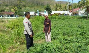 Kunjungi Petani di Sekotong, Polri Tekankan Pemanfaatan Lahan Demi Kedaulatan Pangan