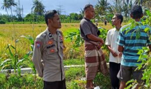 Peran Polisi di Tengah Sawah: Ketahanan Pangan Dimulai dari Dusun Rumak Barat