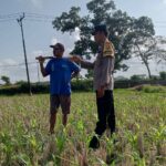 Pekarangan Jadi Lumbung Keluarga: Polri dan Warga Desa Kuripan Wujudkan Pangan Tangguh