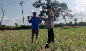 Pekarangan Jadi Lumbung Keluarga: Polri dan Warga Desa Kuripan Wujudkan Pangan Tangguh