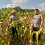Bhabinkamtibmas Dorong Pemanfaatan Lahan untuk Ketahanan Pangan di Dusun Tambang Eleh