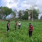 Polres Lombok Barat Dampingi Petani Gerung Utara, Dukung Swasembada Pangan