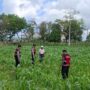 Polres Lombok Barat Dampingi Petani Gerung Utara, Dukung Swasembada Pangan