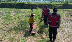 Polres Lombok Barat Dukung Ketahanan Pangan Lewat Patroli Humanis di Desa Kuripan