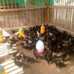 Polri Dorong Swadaya Pangan Lewat Bhabinkamtibmas Desa Jagaraga, Lombok Barat