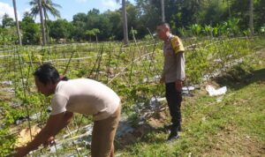 Polsek Sekotong Ajak Petani Berdayakan Lahan Produktif di Dusun Berambang