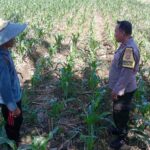 Sinergi Polri dan Petani, Optimalisasi Lahan Kosong di Dusun Jogot untuk Ketahanan Pangan