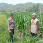 Sosialisasi Ketahanan Pangan di Dusun Pelabu: Polri Ajak Warga Manfaatkan Lahan Produktif