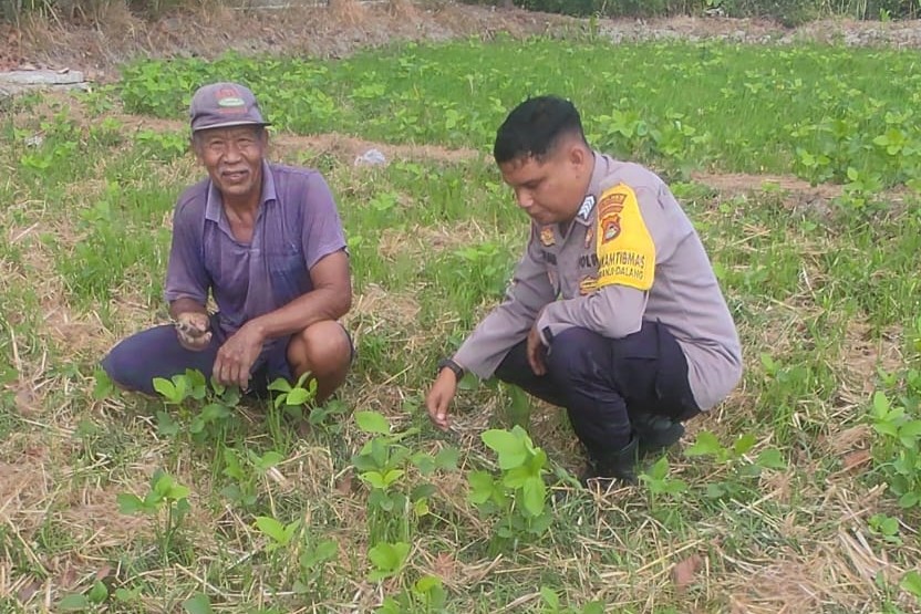 Sinergi Polri dan Warga Kuranji Dorong Desa Mandiri Pangan