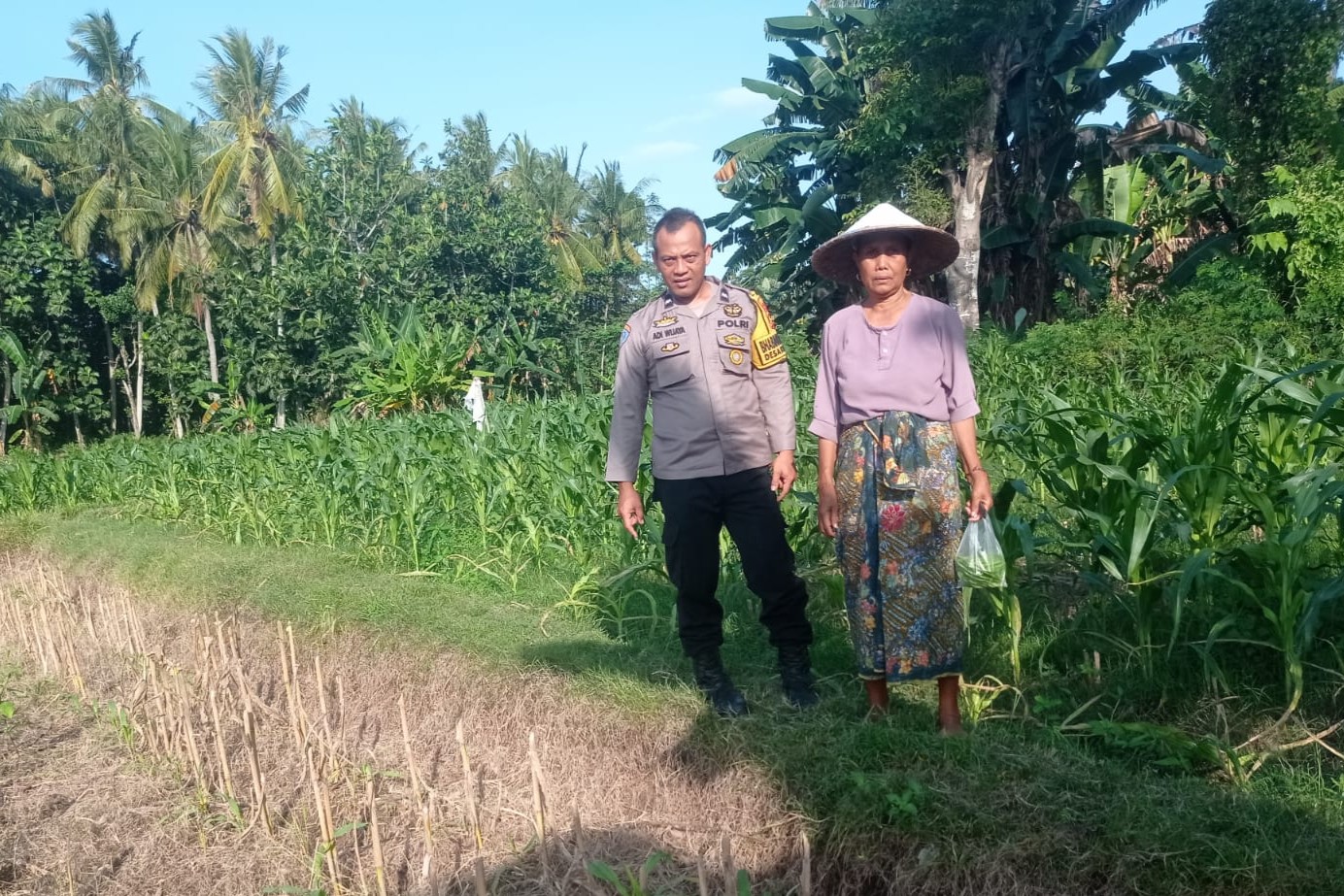 Kunjungan Humanis Bhabinkamtibmas di Kuranji, Pekarangan Jadi Sumber Pangan