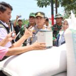 Lombok Barat Produksi 20 Ton Jagung dalam Panen Serentak, Bulog Pastikan Serap Hasil Petani