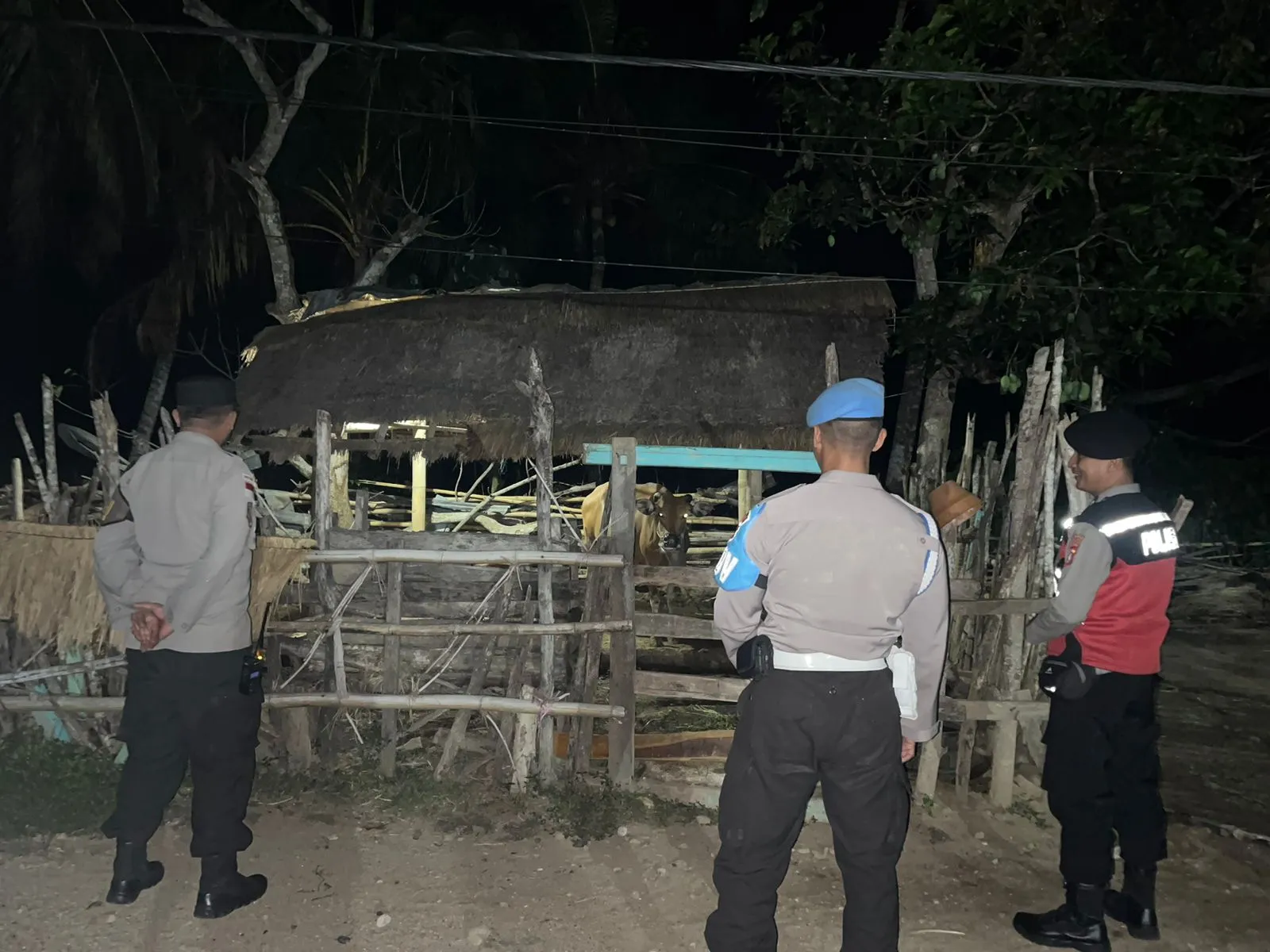 Polsek Sekotong Gencar Patroli Dini Hari, Fokus Amankan Ternak Warga