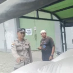 Ketahanan Pangan Lobar Sukses, 24,4 Ton Jagung Masuk Gudang Bulog