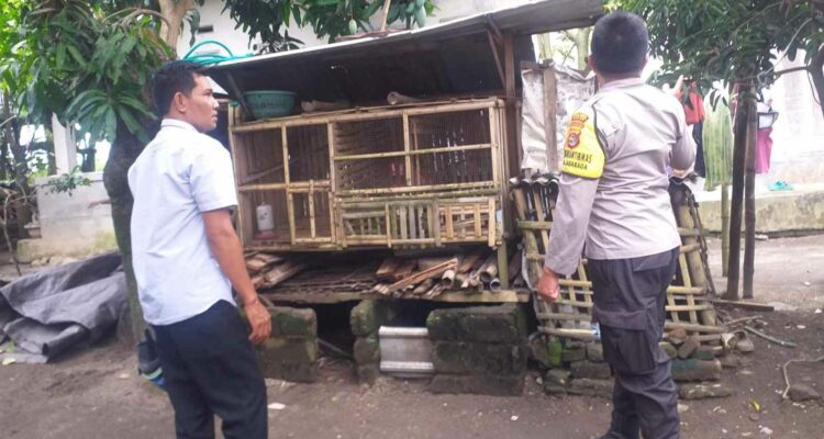 Motivasi Bhabinkamtibmas, Warga Nekat Bangun Kandang Ayam di Pekarangan