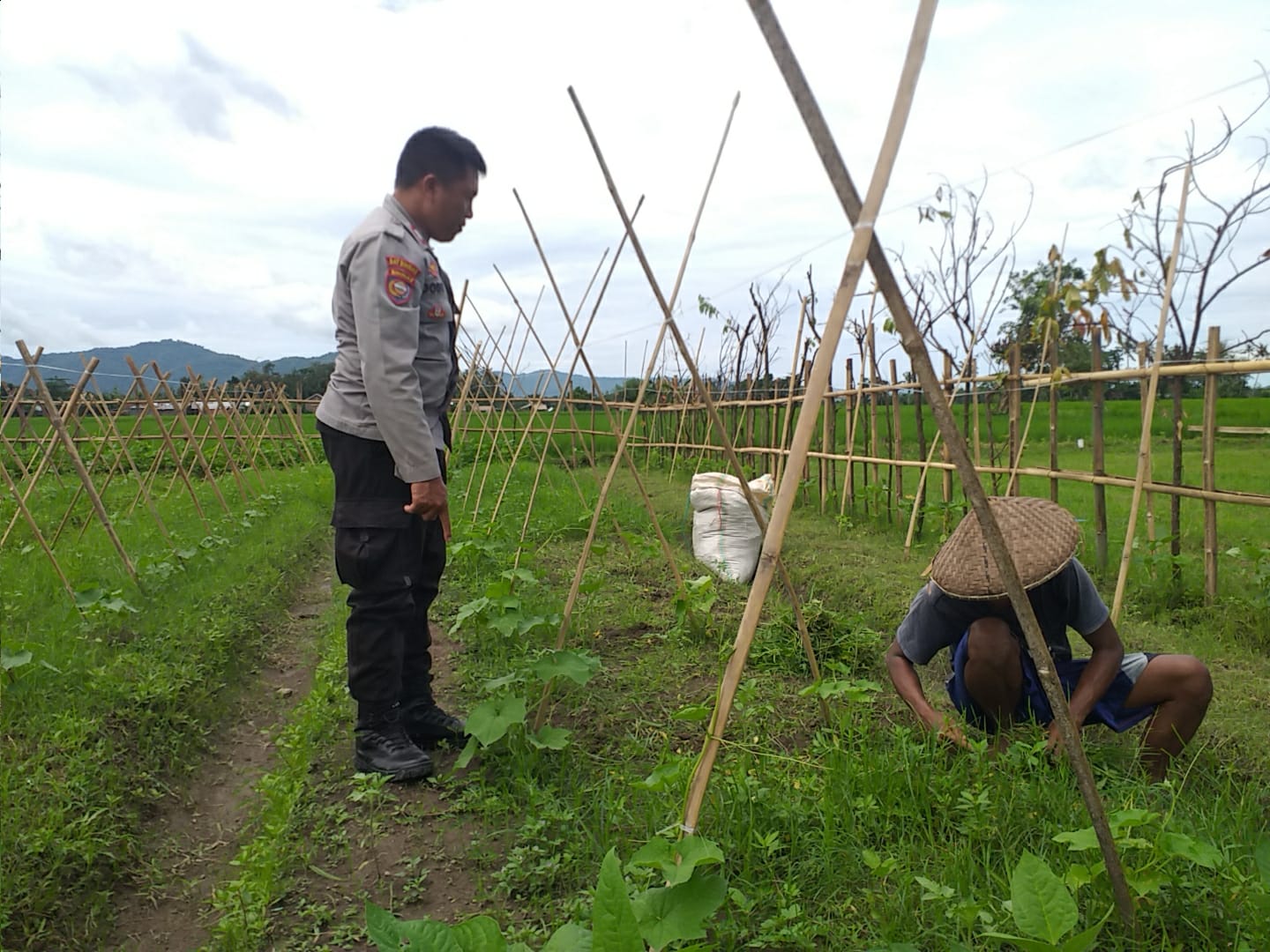Sinergi Polri dan Petani Jagaraga Wujudkan Kemandirian Pangan