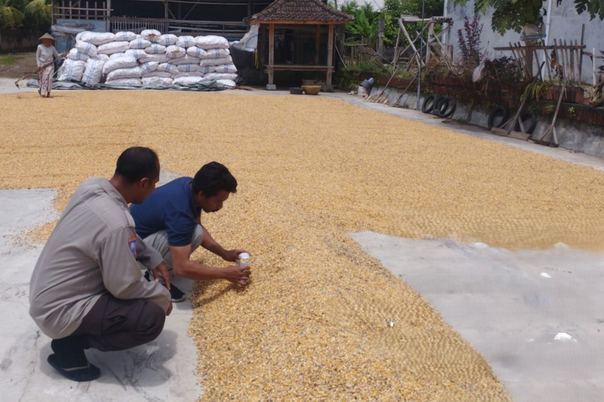 Polri Dampingi Bulog Cek Mutu 3 Ton Jagung Petani di Gerung Lombok Barat